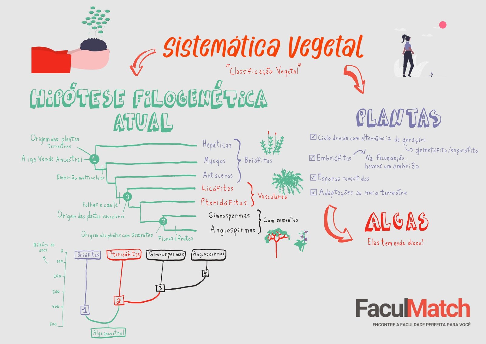 Mapa Mental sobre Sistemática Vegetal